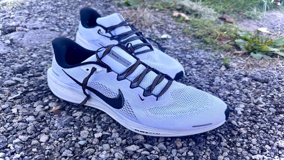 Nike Pegasus 41s set on a gravel path