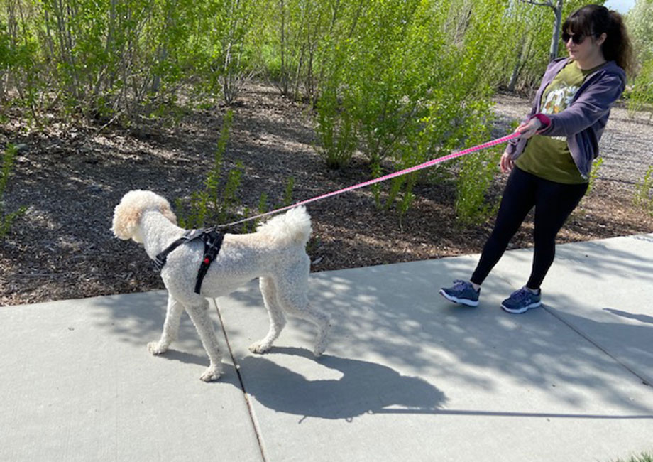 Side view of our tester walking her dog with KURU QUANTUM 2.0 shoes.