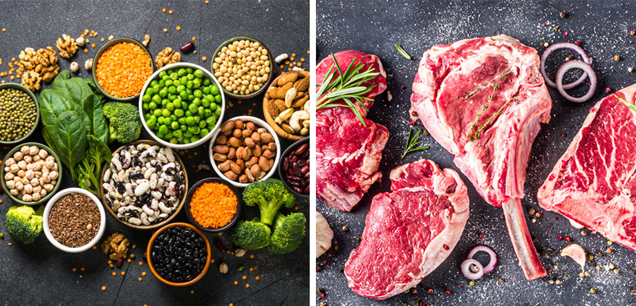 Plant Protein Vs Animal Protein: What's the Difference? Cover Image