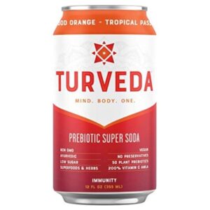 TURVEDA Prebiotic Soda product image