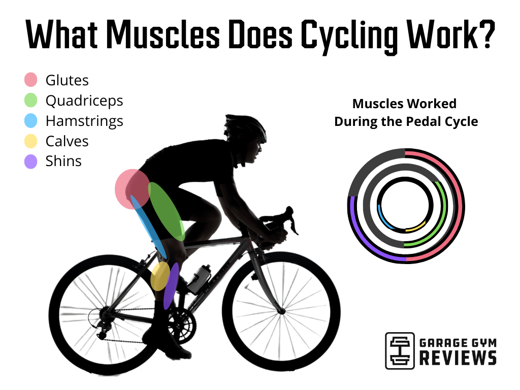 What Muscles Does Cycling Work